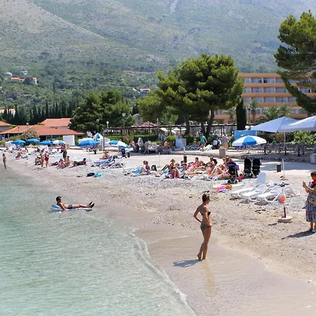 With A Swimming Pool Cavtat, Dubrovnik - 8829 アパート ツァヴタット