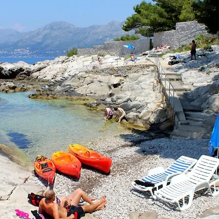 With A Swimming Pool Cavtat, Dubrovnik - 8829 アパート *