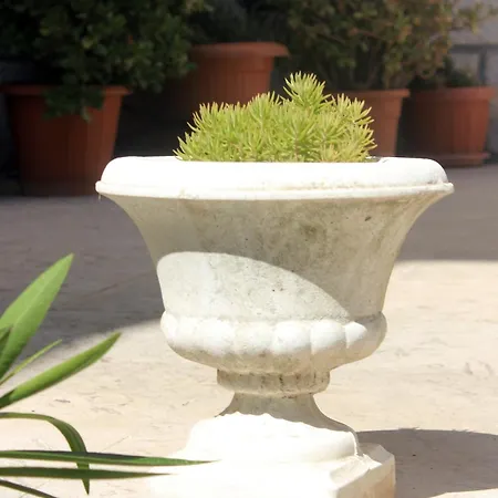 With A Swimming Pool Cavtat, Dubrovnik - 8829 アパート ツァヴタット