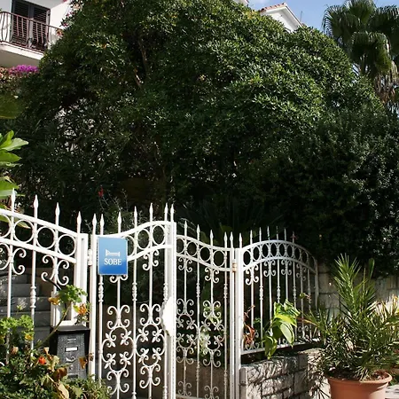 アパート With A Swimming Pool Cavtat, Dubrovnik - 8829 ツァヴタット