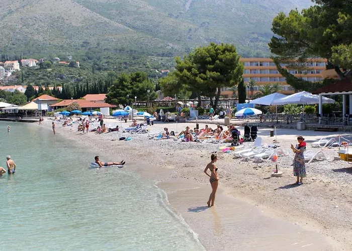 With A Swimming Pool Cavtat, Dubrovnik - 8829 아파트 챠브타트