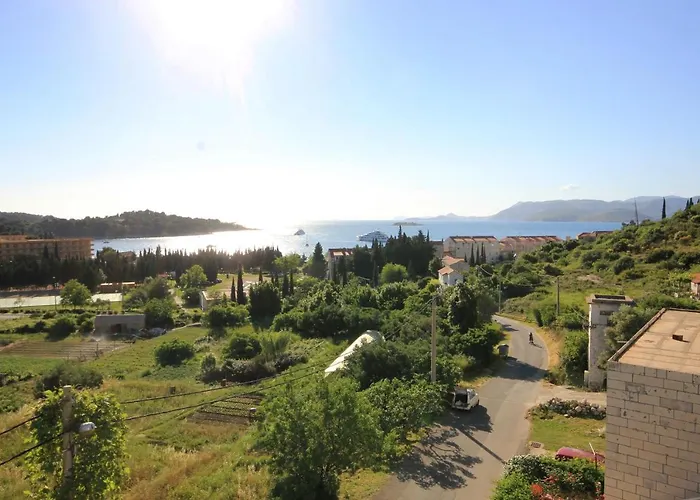 With A Swimming Pool Cavtat, Dubrovnik - 8829 Apartament Cavtat