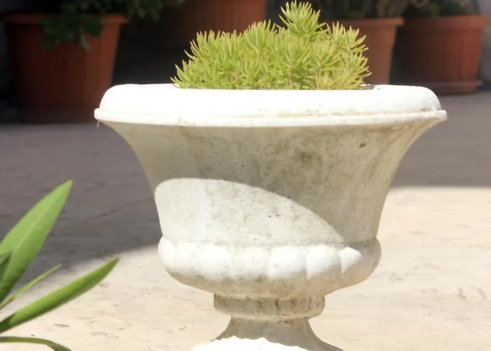 With A Swimming Pool Cavtat, Dubrovnik - 8829 아파트 챠브타트